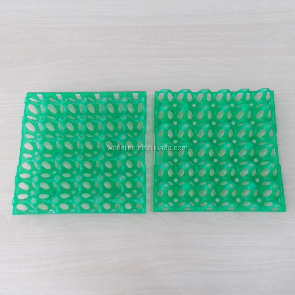 plastic egg tray (32)