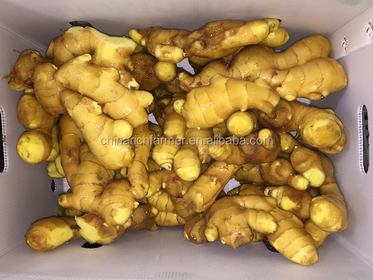 Chinese Mature Fat Ginger Price Buy Ginger,Fresh Ginger,Ginger Price