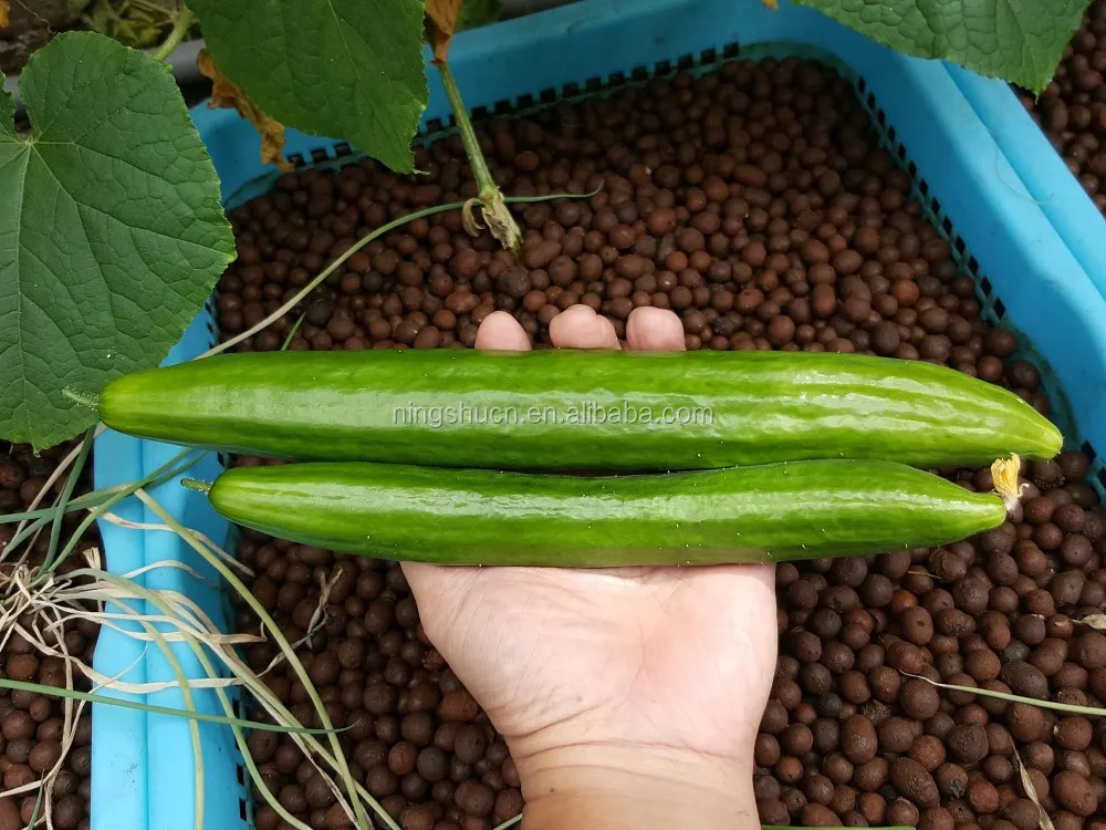 13996029_796502187157465_4232872116656535251_o