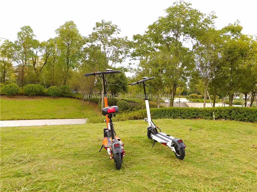 2018 Bigger Power Aluminium Alloy Frame 450w Folding Dual Motor