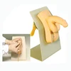 medical training model in nursing skill model /Catheterization Training Simulator (male)