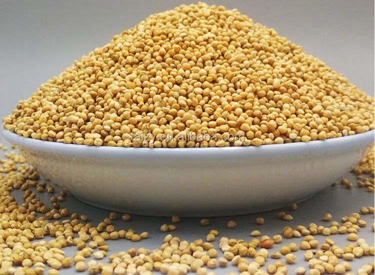 Finger Millet And Pearl Millet Thresher Buy Thresher