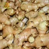 frozen dehydrated ginger types