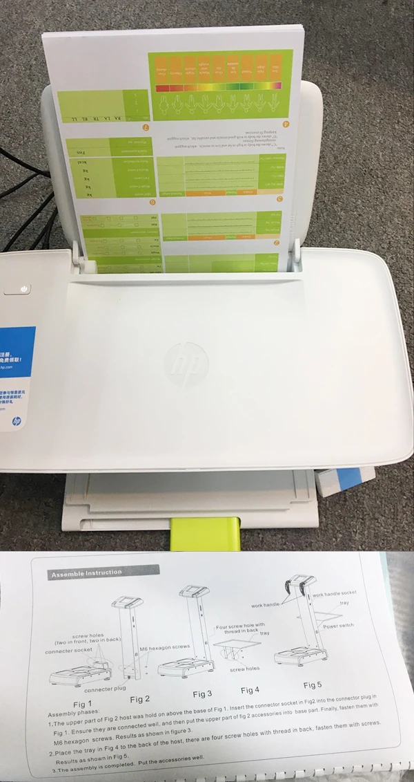 Weighing Scales With Body Fat Percentage Measuring Body Health