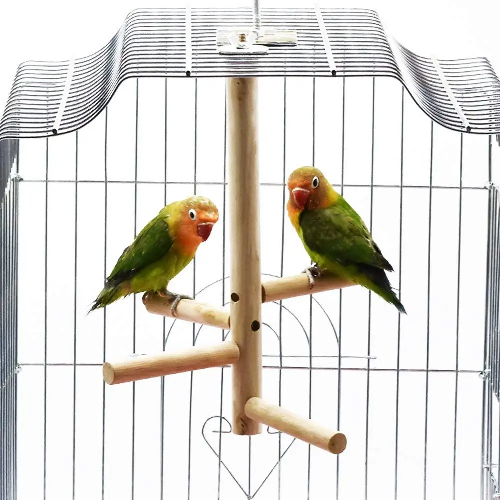 Cheap Parrot Tree Stand, find Parrot Tree Stand deals on line at