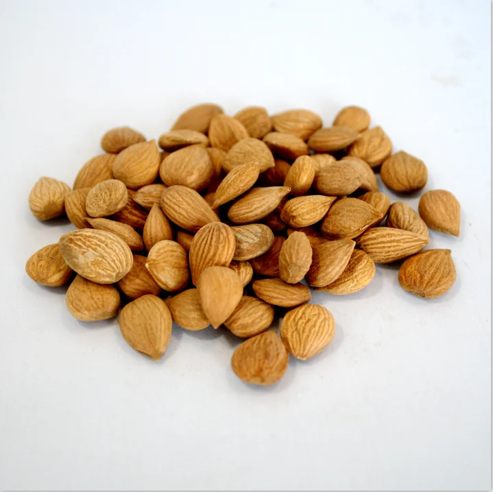 2034 Ku Xing Ren Top Quality Raw Bitter Almonds Nuts With Best Price Buy Almonds Nuts,Almonds