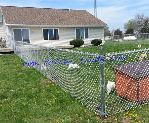 chain link fence for animals.jpg