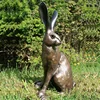 home decoration lovely casting technique bronze antique rabbit statue sculpture for sale