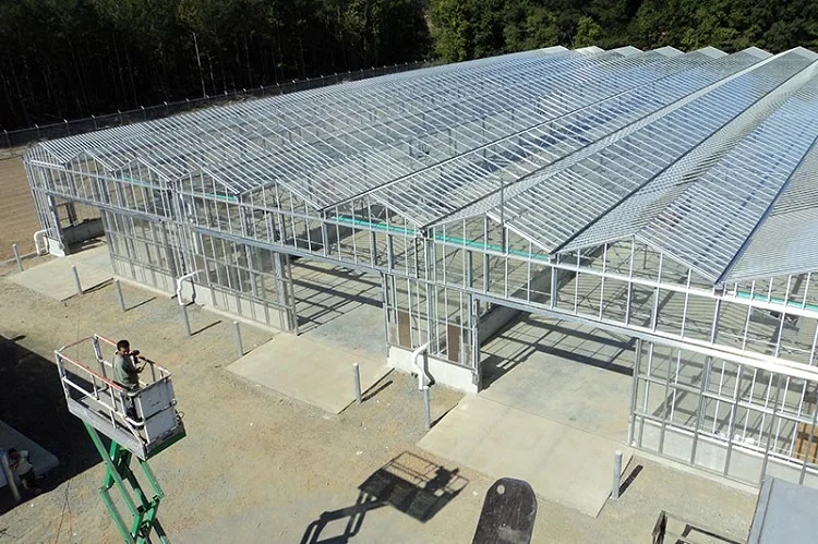 glass greenhouse (1)