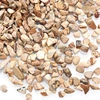 Picture Jasper Tumbled Chips Stone Crushed Crystal Quartz Pieces Irregular Shaped Stones