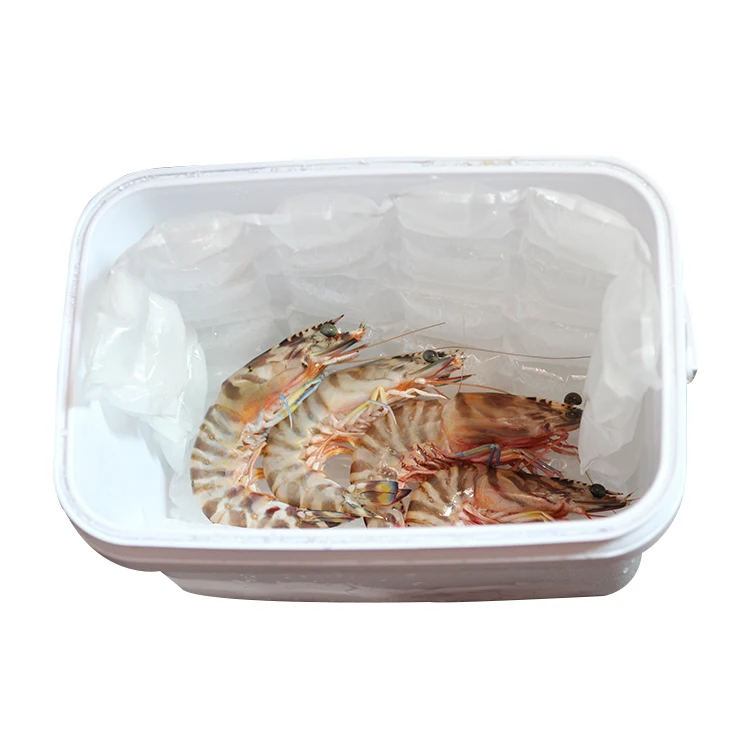 Special Gel Ice Pack Reusable for Cold Fresh Food Shipping