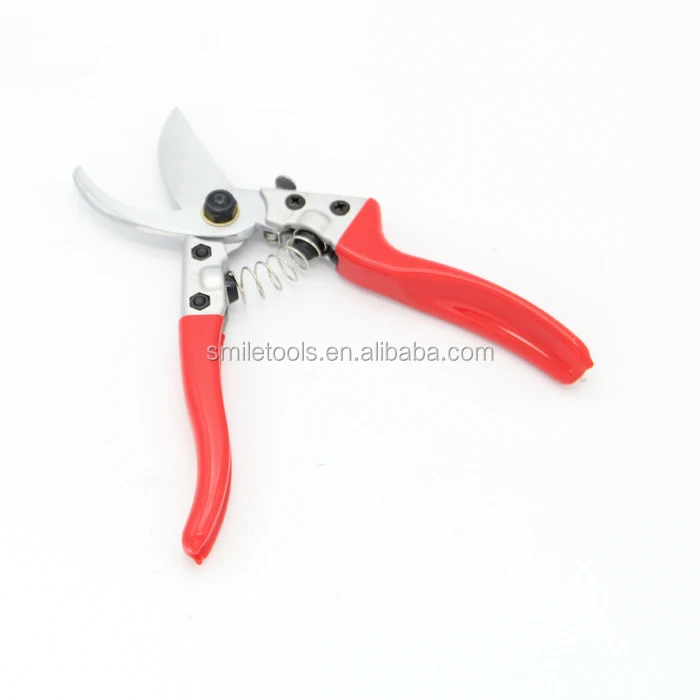 pruning shear (3).JPG