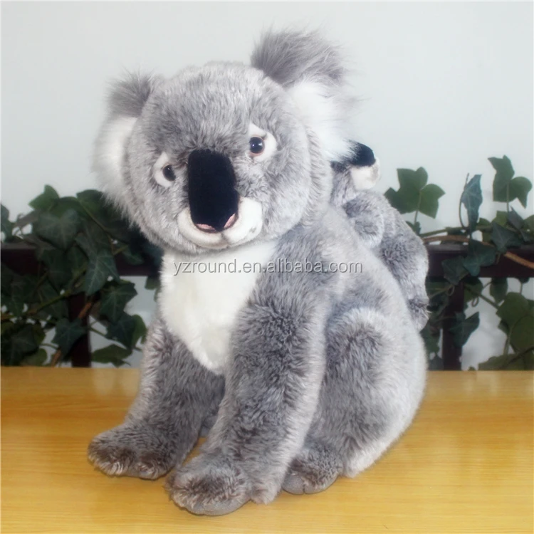 koala.jpg