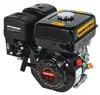 163cc Max torque 10N.m/3000rpm 5.5hp engine