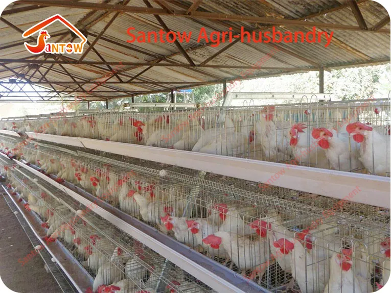Hot Galvanized Chicken Poultry Cages Cold Galvanized Chicken Layer Cage Best Quality For Sale Nigeria Africa