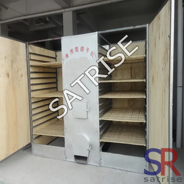 Moringa leaf drying equipment continuous herbs mushroom drying machine