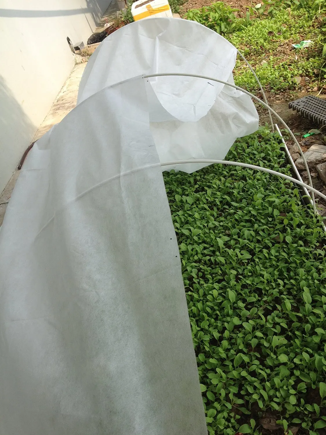 Buy Grow Tunnel Within Support Hoops Frost Protection Cover RowTunnel
