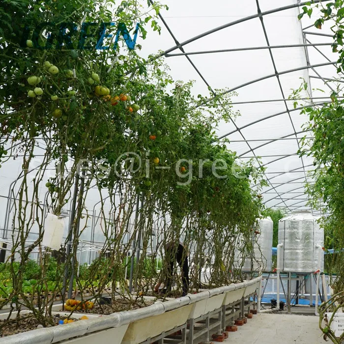 Aquaponics Growing Systems - Buy Indoor Shrimp Farming ...