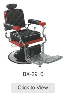 BX-2910.jpg