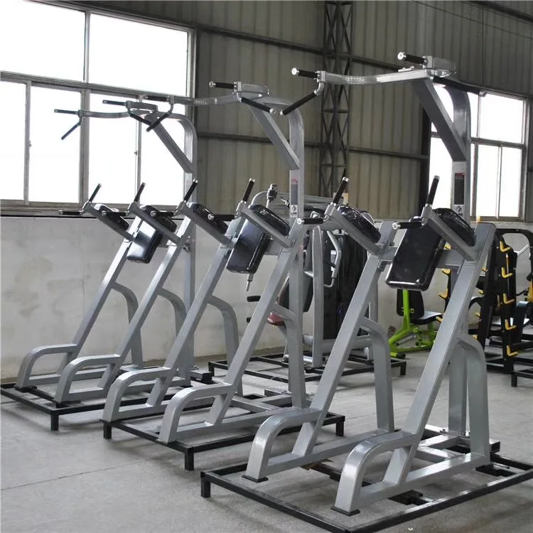 Mnd Vertical Knee Raise Dip Stand Power Tower Pull Up Commercial Gym Fitness Equipment Vertical Knees Up Dip Station Chin Up Buy Mnd Vertical Knee Raise Dip Stand Power Tower Pull