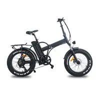 

MTB 20inch Fat Tire Folding Electric Bike with Bafun motor 500W battery and 7 speed