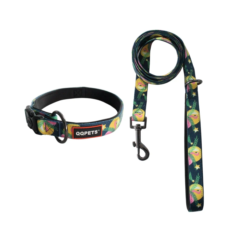 

More colorful neoprene padded custom pattern polyester print dog collar and leash, Colorful, color can be customed