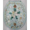 novelty lucite toilet seat