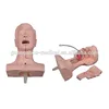MCT-KN-013 Swallow Mechanism Simulator