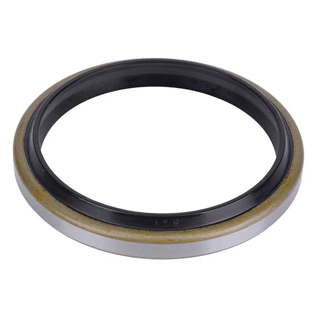 Dust Seals Dkb Ga Steel Dust Wiper Seal Scraper Seal Buy Scraper Seal