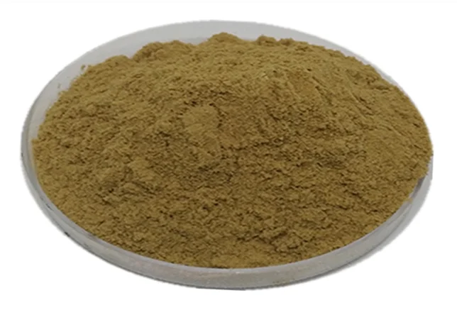 Gymnema Sylvestre Extract Powder