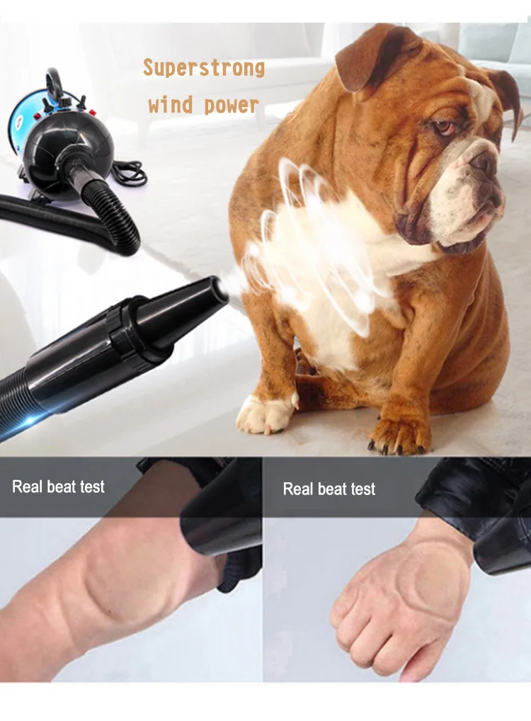 Professional Infinitely variable speed newstyle dog hair dryer pet dryer