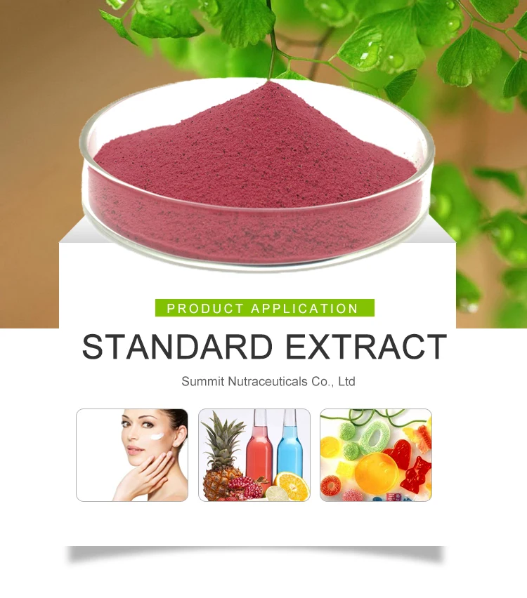 Manufacture Natural Beet Extract Beet Root Extract Powder Buy Beet