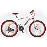 

factory popular 21 speed custom High quality bicycle mens suspension mountain bike mtb bike