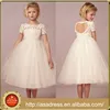 BHL08 Heart Back Girl Party Gowns Princess Short Sleeve High Collar Lace Short Flower Girl Tulle Dress