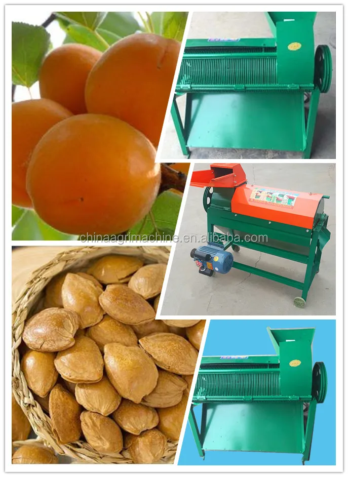 Almond Peeling/shelling Machine /almond Breaker Machine Buy Almond
