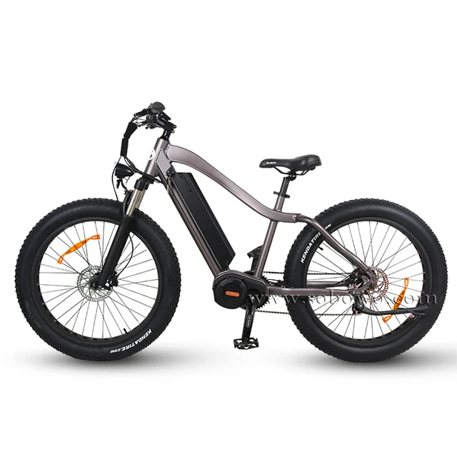 best 1000 watt electric bike