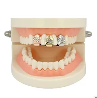 

Gold Color Hop Single Tooth Grillz Punk Cap Top & Bottom Dental Grill Halloween Jewelry Gifts for Men Bling Custom Teeth