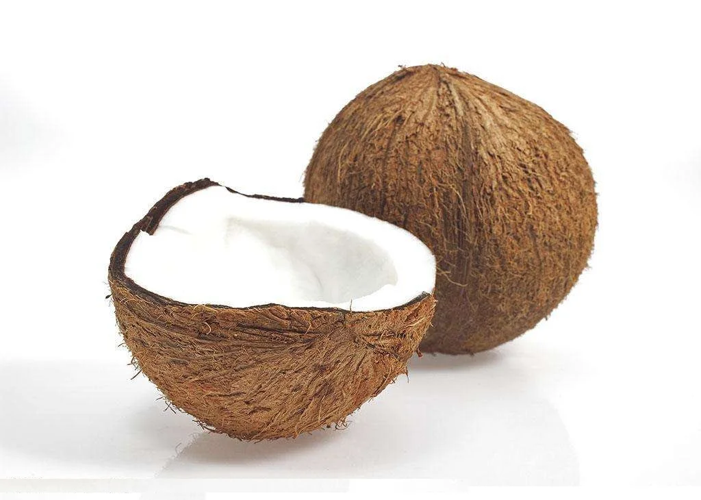 Coconut milk powder (8).jpg