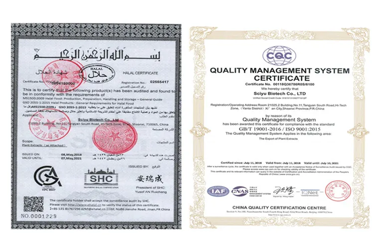 Certifacetes -SCIYU_.jpg