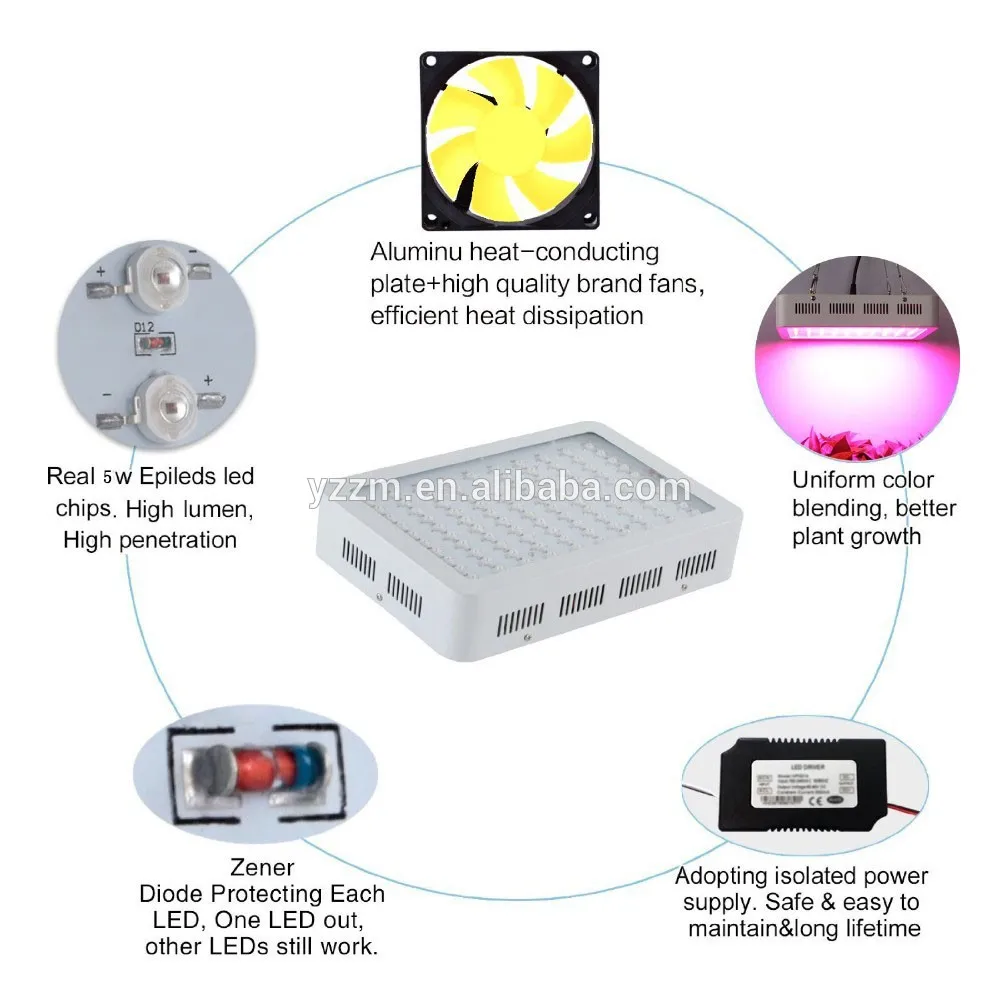 Plant Grow Light.jpg