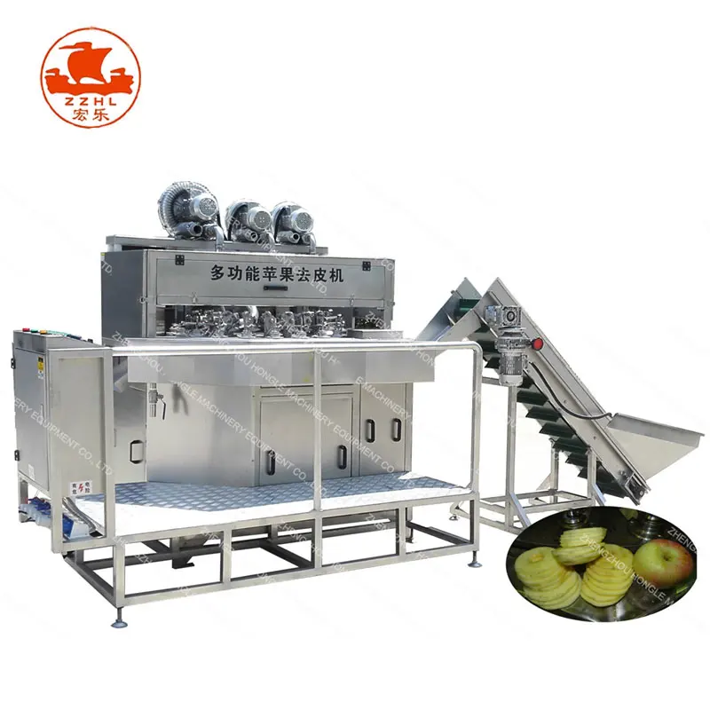 Automatic Industrial Cherry Pitting Machine With Special Design Low Price Cherry Seed Removing Machine factory