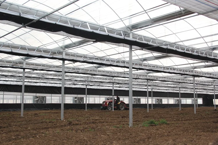 Plastic Single Span Tunnel Greenhouse For Sale Agricultural Equipment Greenhouse Buy