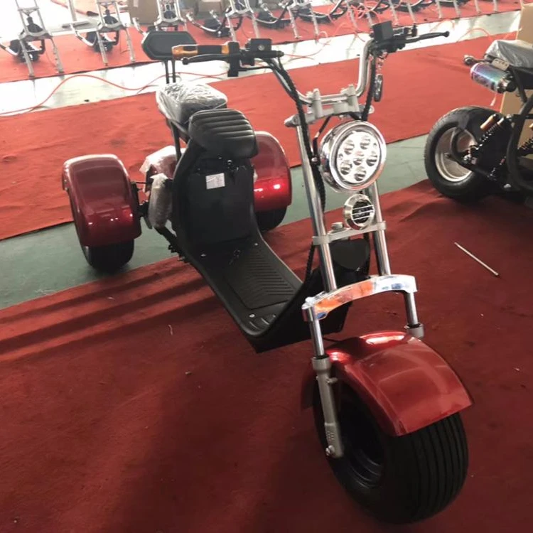 

3 wheels newest harley citycoco scooter with double seat big light