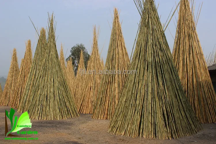 Bamboo Pole Bmaboo Cane Bamboo Stick010