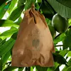 Cheap Organic Red Mango Growing Paper Packing Bag