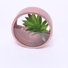 Wholesale Succulent Pots Wrought Iron Wall Geometric Hanging Planters