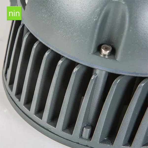 ninLED 20190113 (37).jpg