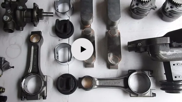 Company Overview - Yongzhou Lengshuitan kangming Import and Export