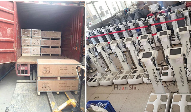 GJ0401 body analysis (4)