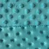 Wholesale high-quality 100% Polyester Material polar minky baby fabric